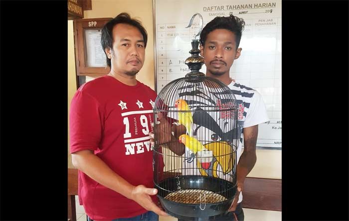 Spesialis Pencuri Burung Love Bird Berhasil Diamankan, Satu Orang Masih Buron