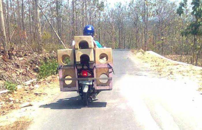 Perajin Tungku Ngawi tetap Bertahan