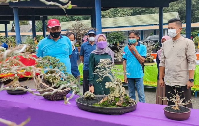 Hadiri Kontes Bonsai Kediri Bersatu di Terminal SLG, Wabup Dewi Dorong Petani Bonsai Bisa Ekspor