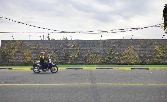 FOTO: Matinya Tanaman di Vertical Garden, Dekat Pintu Masuk Kota Bojonegoro