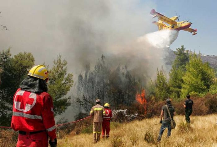 Pacitan Aman dari Aksi Pembakaran Hutan 