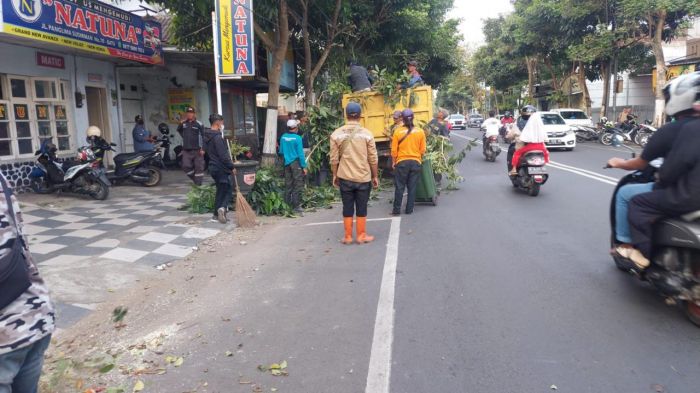 Sambut Musim Hujan, DPUPR Kota Batu Intensifkan Inventarisasi Pohon Rawan Tumbang