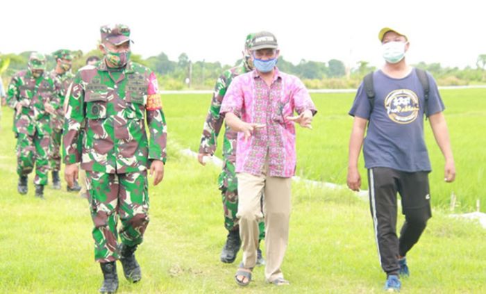 Pandemi Covid-19, Dandim 0812/Lamongan Tinjau Kesiapan Ketahanan Pangan