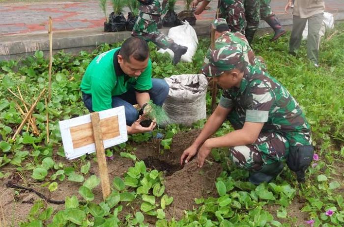 Kodim 0801 Pacitan, Polres, dan Kamladu Laksanakan Tanam Ratusan Pohon Cemara