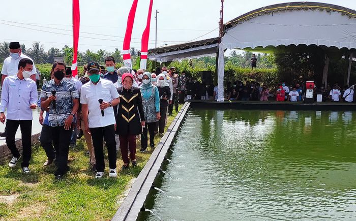 Budi Daya Ikan Koi Pakai Sistem Internet di Blitar, Mendes PDTT: Ini Satu-satunya di Indonesia