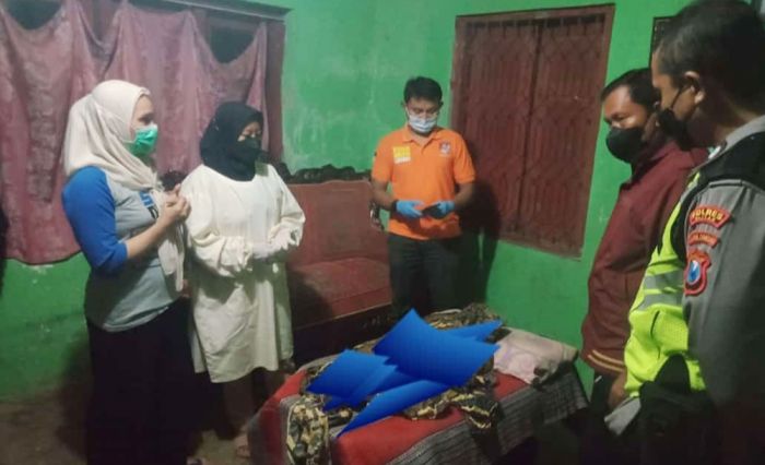 Jatuh ke Kolam Koi, Balita di Blitar Meninggal Dunia