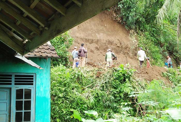 Tebing Longsor di Gandusari Blitar Ancam Rumah dan Sawah Warga