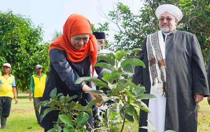 Khofifah Kenalkan Kekayaan Agrikultur Jatim ke Syekh Afeefuddin Al-Jailani