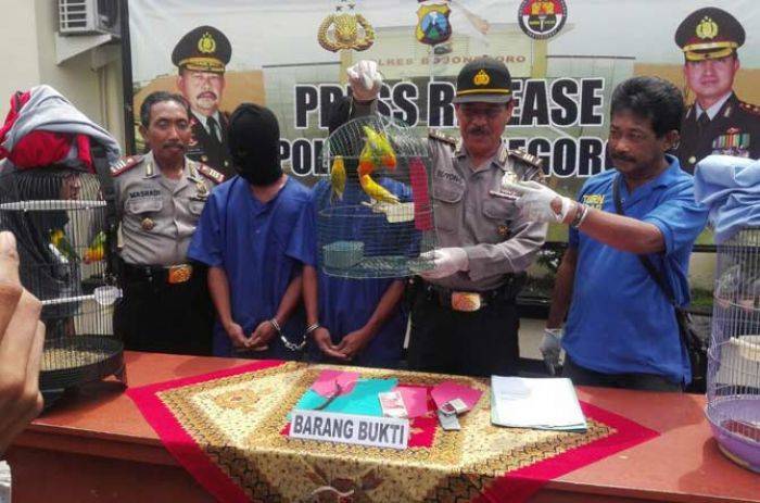 Bocah Kembar Asal Modo Lamongan Kompak Curi Burung di Bojonegoro