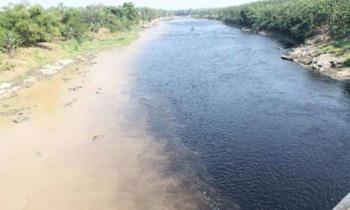 Sungai Bengawan Solo Tercemar Limbah Berbahaya, Warga Diimbau tak Gunakan Air