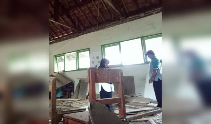 Diduga Kayu Plafon Lapuk, Ruang Kelas SDN 05 Sumberpoh Probolinggo Ambruk