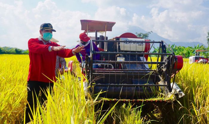 Pemkab Mojokerto Bakal Beli Beras Petani untuk Disalurkan ke Warga Terdampak Covid-19