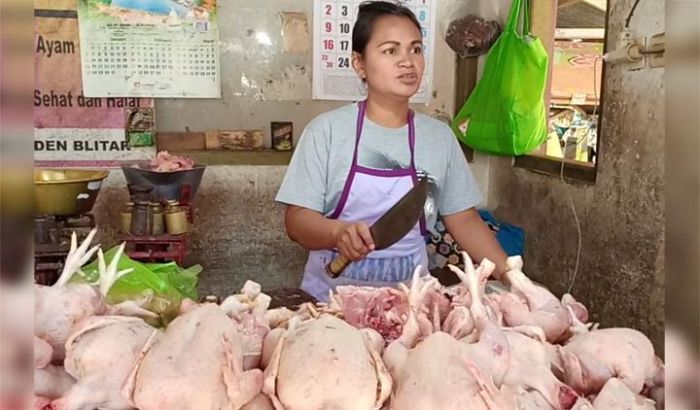 Sempat Anjlok, Harga Daging Ayam Kembali Meroket