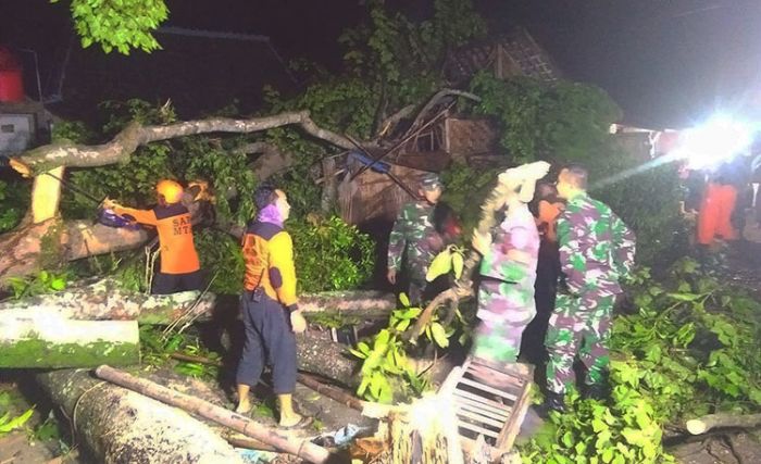 Anggota Koramil 0805/02 Paron Bersama Warga Bersihkan Rumah Rusak Akibat Tertimpa Pohon