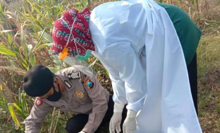 ​Pamit Cari Rumput dan Tak Pulang-pulang, Kakek di Tuban Ditemukan Meninggal