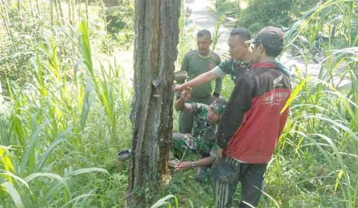 Rabat Jalan TMMD, Permudah Masyarakat Angkut Getah Pinus