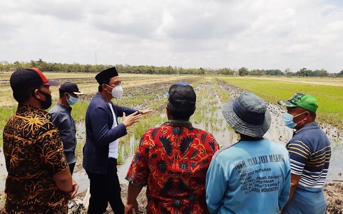 Gus Muhdlor-Subandi Siapkan Program Atasi Masalah Pertanian di Sidoarjo