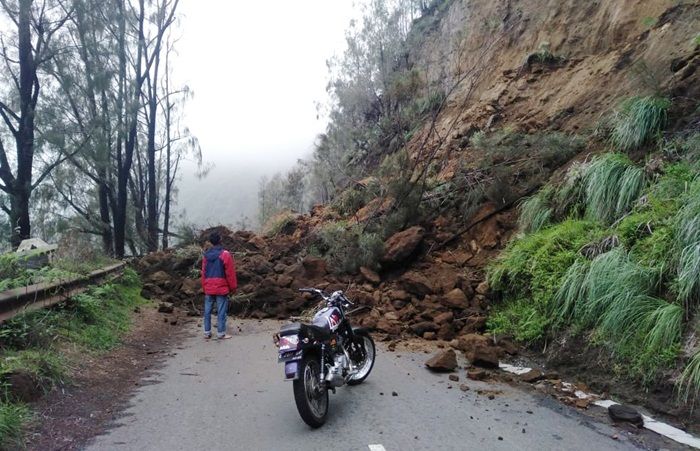 Hujan Deras di Tosari Pasuruan Longsorkan Tebing Jalur Wisata ke Bromo