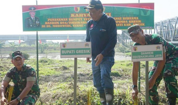 Tepi Kali Lamong Ditanami 25 Ribu Rumput Vetiver