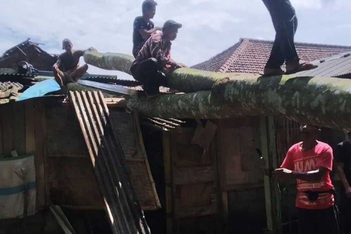 Rumah di Banyuwangi Rusak Usai Diterjang Hujan Deras dan Tertimpa Pohon