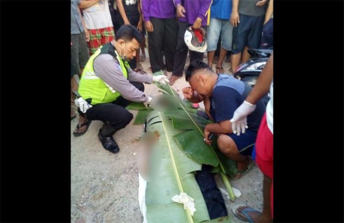 Pemotor Adu Banteng dengan Pick Up di Raya Ngrambe-Gendingan, Langsung Tewas di Tempat