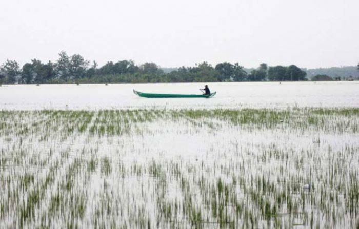 Kerugian Sementara Banjir di Bojonegoro Capai Rp 30,4 Miliar, 9 Rumah Rusak