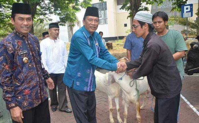 Pemkab Gresik Siapkan 125 Ekor Hewan Kurban