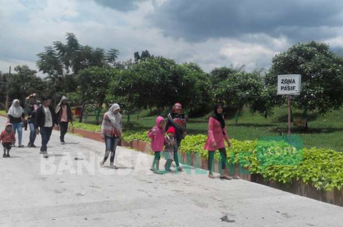 Bukit Teletubies Randegan Mendadak Ngehits, Jadi Perbincangan di Sosmed