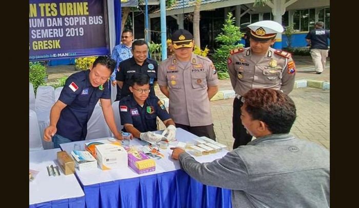 Razia, Polres Gresik Amankan Sopir Bus Konsumsi Narkoba di Terminal Bunder