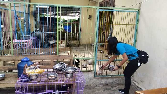 2 Majikan Wanitanya Tewas Dibunuh, Begini Nasib Anjing dan Kucing di Shelter Hewan Kota Blitar