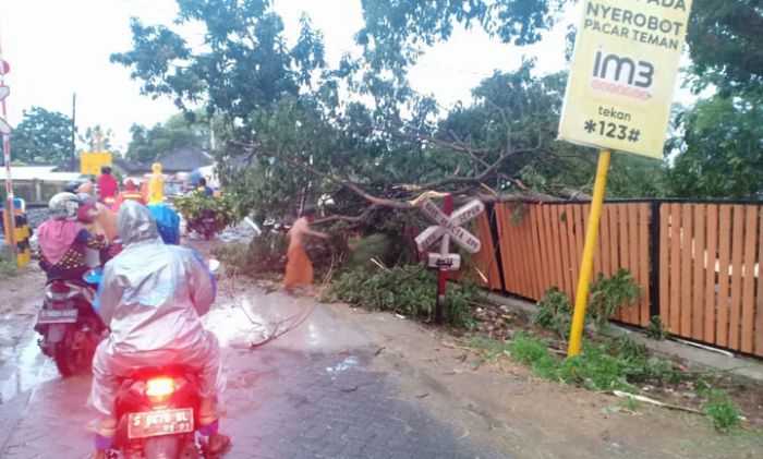 Ini 11 Kecamatan di Bojonegoro yang Terdampak Angin Kencang