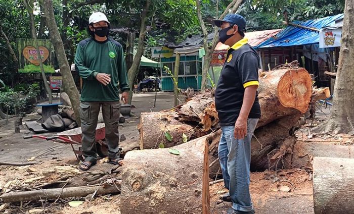 "Bangun Wisata Desa dengan Mengorbankan Lingkungan adalah Sebuah Pelanggaran Berat"