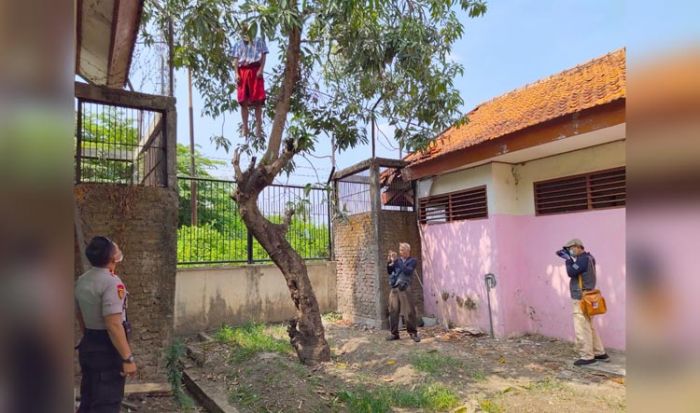 Penghuni Dinsos Sidoarjo Gantung Diri di Pohon Mangga