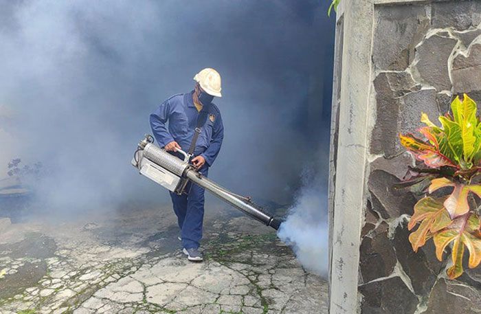 DBD dan Chikungunya Hantui Masyarakat di Kota Blitar saat Musim Hujan