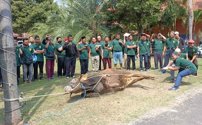 Jelang Iduladha, DKPP dan Juleha Gelar Pelatihan Penyembelihan untuk Takmir di Kota Kediri