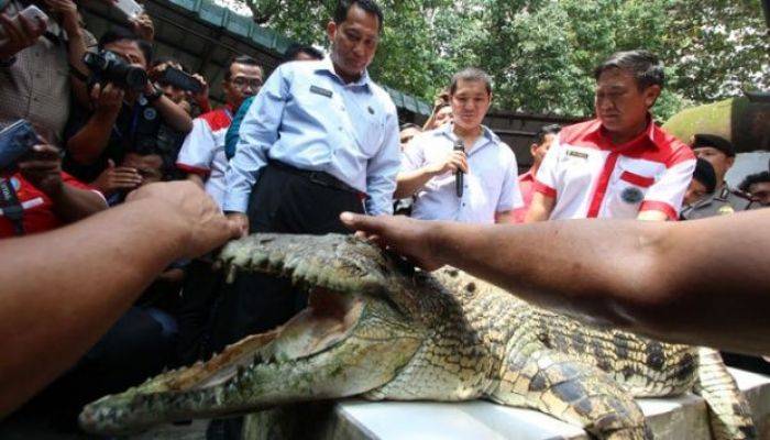 Tolak Ide Buwas, Pemkab Sumenep: Bukan Tempat Pembuangan Penjahat 