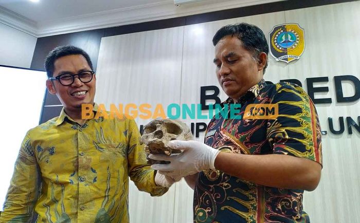 Replika Tengkorak Fosil Homowajakensis Tiba di Tulungagung