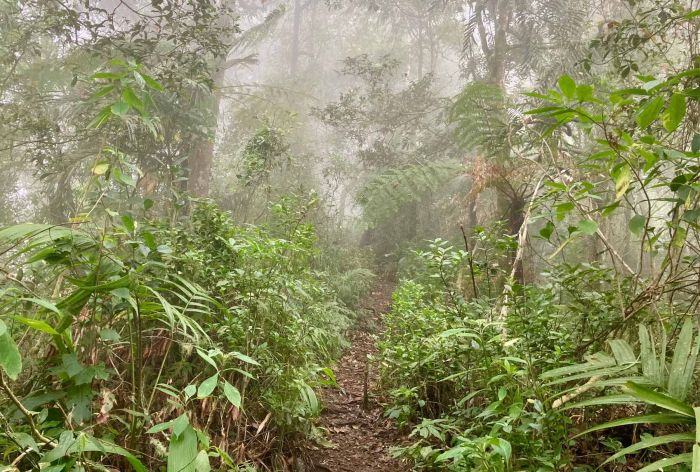 Jangan Salah! Keduanya Bisa Dilakukan di Gunung, Tapi Inilah Beda Hiking dan Trekking