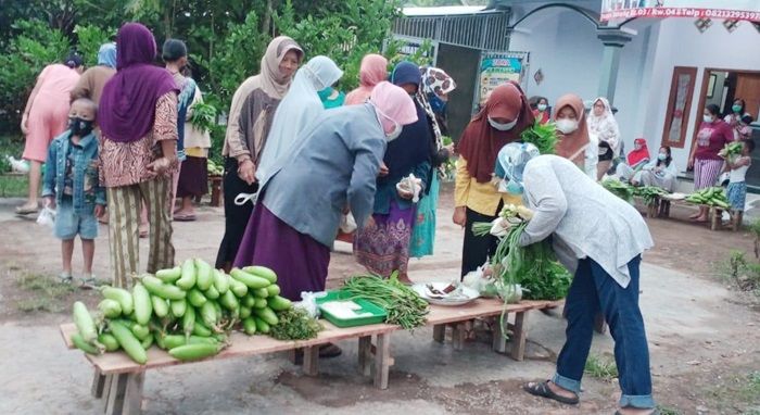 Bagikan Sayur Mayur Gratis ke Tetangga di Masa Pandemi, Jumat Berkah ala Guru Honorer di Jember