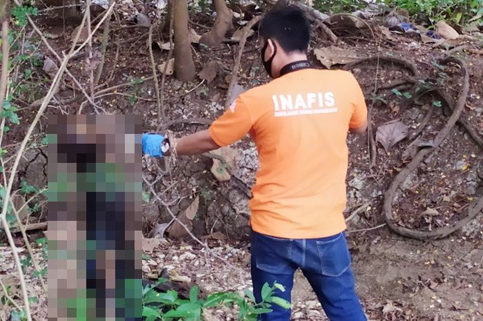 Tinggal Tengkorak, Jasad Mr X di Tuban Ditemukan Tergantung di Akar Pohon Tengah Hutan