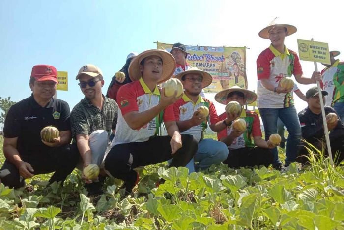 Panen Raya Blewah di Merakurak Mendapatkan Dukungan dari Bupati Tuban