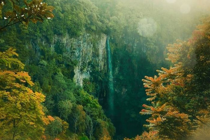 Air Terjun Kali Pancur, Rekomendasi Wisata Alam di Semarang