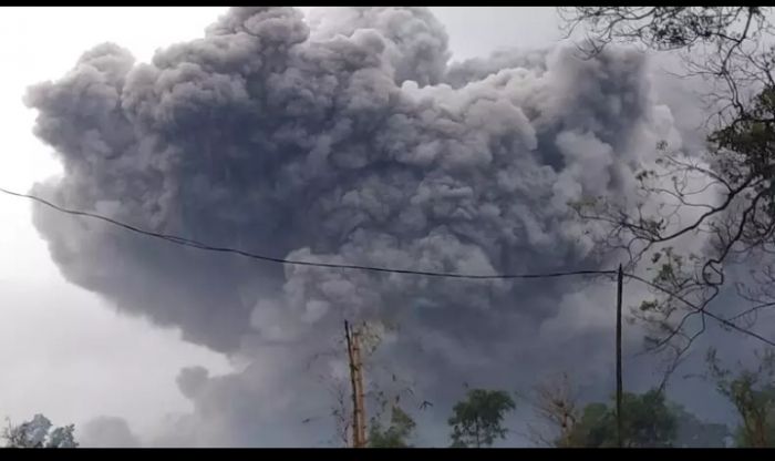 ​Gunung Semeru Meletus, Muntahkan Awan Panas sampai 4,5 KM