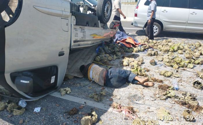 Pecah Ban, Pikap Muat Ikan Terguling di Tol Porong