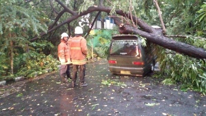 ​Pohon di Surabaya Bertumbangan, Warganet Minta Salahkan Anies, Risma Diganti Ahok