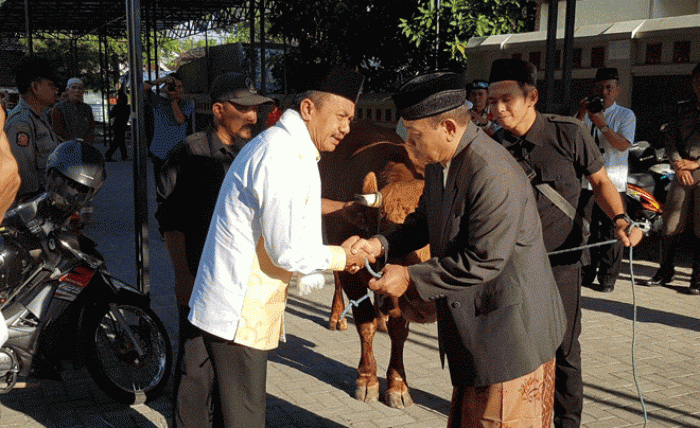 Usai Sholat, Bupati Serahkan Hewan Kurban