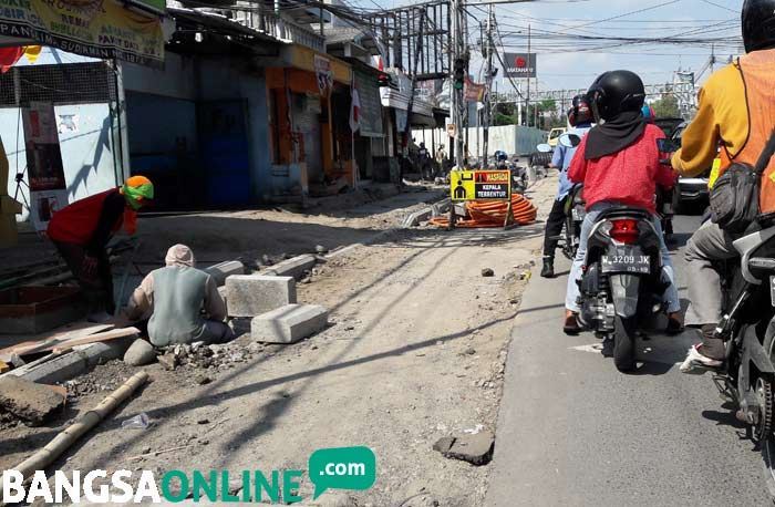 Proyek Box Culvert DPU TR Gresik Korbankan Pohon Teduh Kota