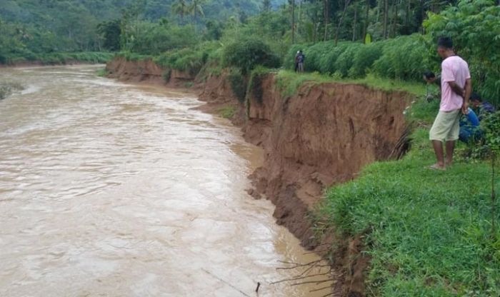 Abrasi Sungai Grindulu Semakin Meluas