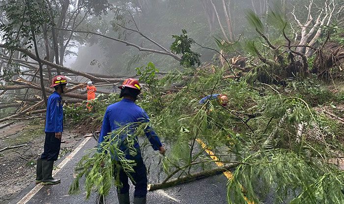 Hujan Deras, Tanah Longsor Terjadi di Desa Nglinggis Trenggalek