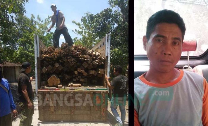 Kedapatan Menyimpan Kayu Jati Ilegal, Rumah Warga Kedunggalar Digerebek